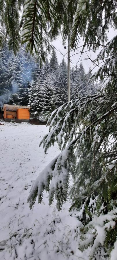 Сімейний Номер 1 Садиба У Ані ซีเนเวียสกา โปลีอานา ภายนอก รูปภาพ